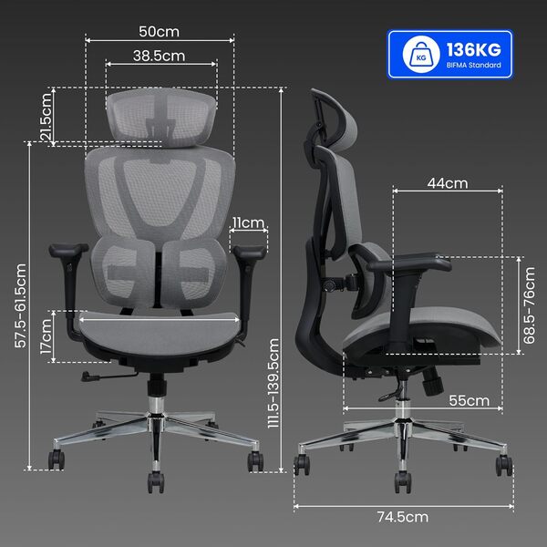 FLEXISPOT C5 Chaise de Bureau Ergonomique, Chaise de Bureau avec Support Lombaire, Appui-tête 3D et Profondeur d'assise Réglable, Dossier Inclinable en 3 Positions et Réglable en Hauteur, Gris