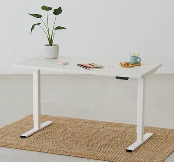 Eleva Pro Basic Bureau Assis Debout Plateau chêne Neige (120x70x3cm) (73-121) cm｜Bureau Électrique Réglable en Hauteur avec 2 Moteur｜Panneau avec 4 mémoires｜Installation Facile