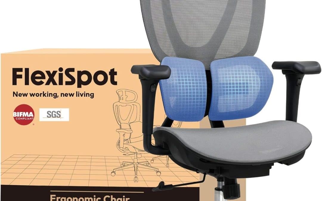 Test : chaise de bureau FLEXISPOT ERGOX Air avec support lombaire